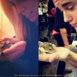 Victoria Blair, Justin Bieber, PAC the hamster Victoria Blair, Justin Bieber, PAC the hamster